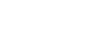 sgd999-logo