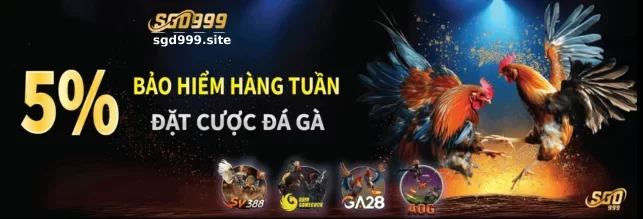 Tin Tức SGD999