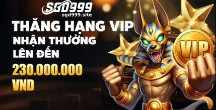 SGD999 mang đến nhiều chương trình khuyến mãi